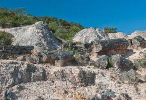Arte Paleontológico Piedra Chamana 